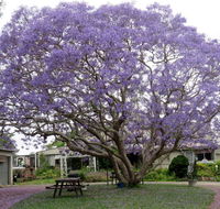 Ecotel Narooma - Accommodation Broome