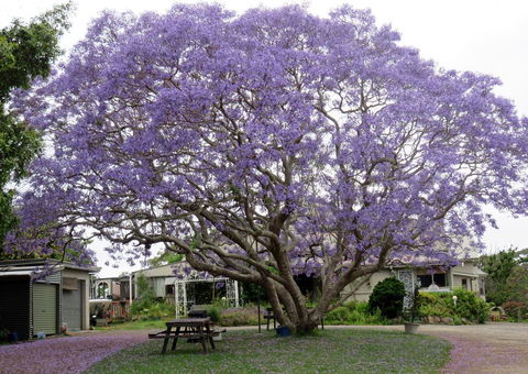 Ecotel Narooma - Accommodation Broome 0