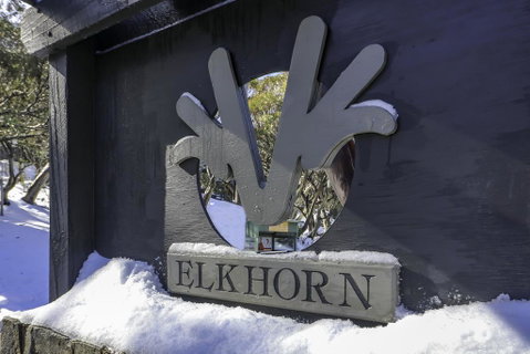 Elkhorn 11 - Accommodation Broome 2
