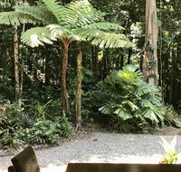 Forest Views Daintree - Accommodation Broome