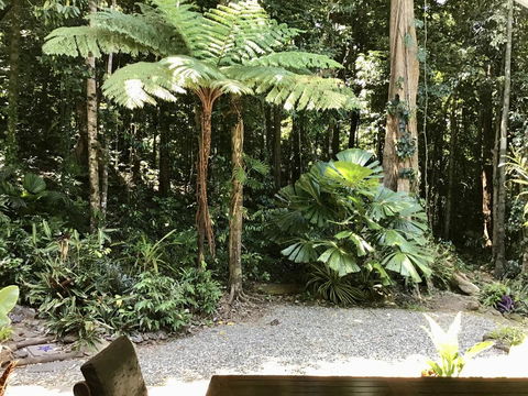 Forest Views Daintree - Accommodation Broome 0