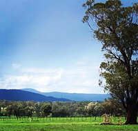Fourjay Farmstay - Accommodation Broome