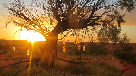 Giralia Homestay - Accommodation Broome 0