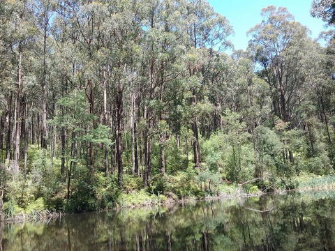 Lyrebird Gully Retreat - Accommodation Broome 2