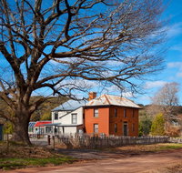 Morgantis - Accommodation Broome