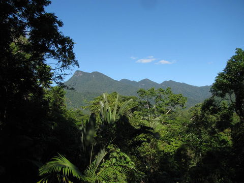 Mossman Gorge Bed And Breakfast - Accommodation Broome 0