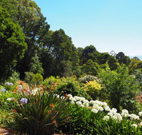 Murrindindi - Accommodation Broome