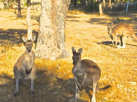 Sandpiper Retreat - Accommodation Broome 37