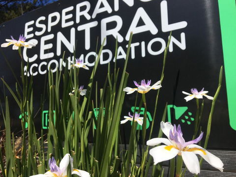 Esperance Central Accommodation - Accommodation Broome 0