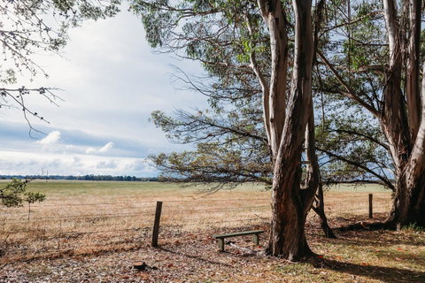 Margaret River Holiday Cottages - Accommodation Broome 22