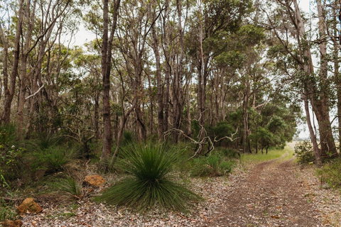 Margaret River Holiday Cottages - Accommodation Broome 31