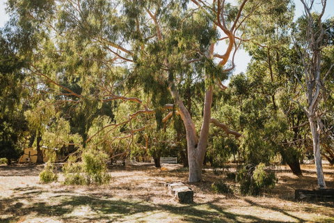 Margaret River Holiday Cottages - Accommodation Broome 16