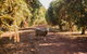 Margaret River Holiday Cottages - thumb 21