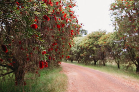 Margaret River Holiday Cottages - Accommodation Broome 17