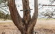 Margaret River Holiday Cottages - thumb 20