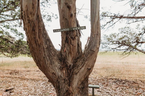 Margaret River Holiday Cottages - Accommodation Broome 20