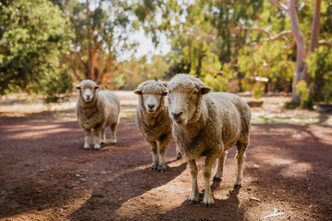 Margaret River Holiday Cottages - Accommodation Broome 15