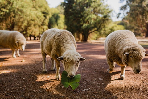 Margaret River Holiday Cottages - Accommodation Broome 26