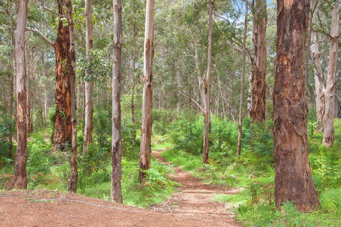 Churchill Studios - Accommodation Broome 8