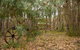 Denmark Forest Retreat - thumb 5