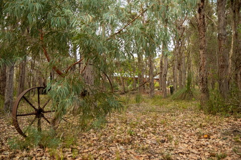 Denmark Forest Retreat - Accommodation Broome 5