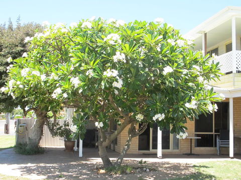Kalbarri Riverfront Unit - Accommodation Broome 6