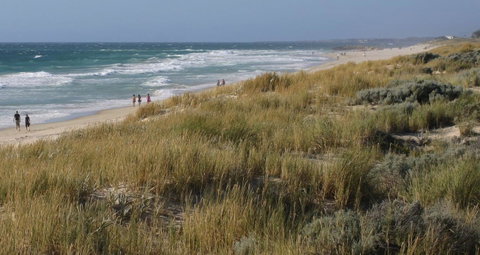 Scarborough & Absolutely Beachfront - Accommodation Broome 2
