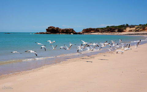 Apartments At Blue Seas Resort - Accommodation Broome 25