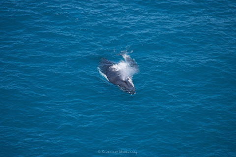 Apartments At Blue Seas Resort - Accommodation Broome 26