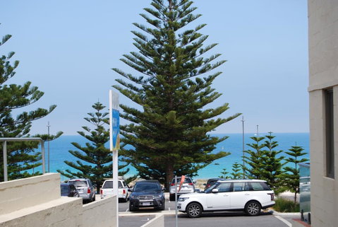 Absolute Beachfront Scarborough - Accommodation Broome 7