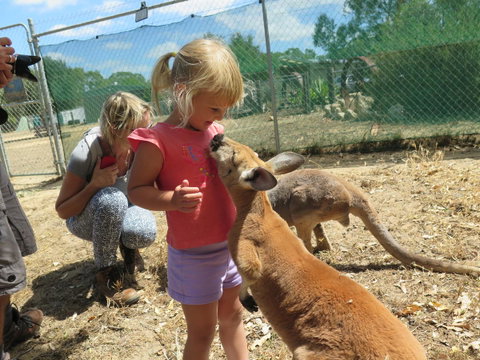 Jurien Beachfront Holiday Units - Accommodation Broome 36