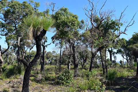 Eagle Bay House - Accommodation Broome 33