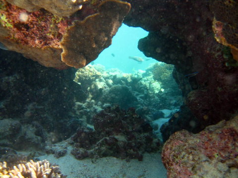 Ningaloo Coral Bay â€“ Bayview - Accommodation Broome 4