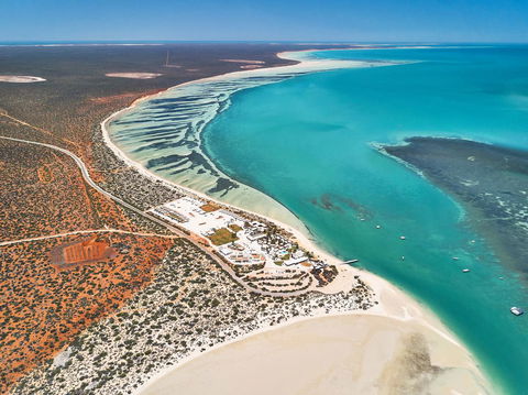 RAC Monkey Mia Dolphin Resort - Accommodation Broome 43