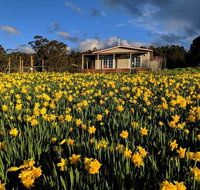 Mountain Blue Guest House - Accommodation Broome