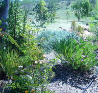 Old Miners' Cottages Bed and Breakfast - Accommodation Broome