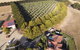 OMARU FARM STAY - thumb 1