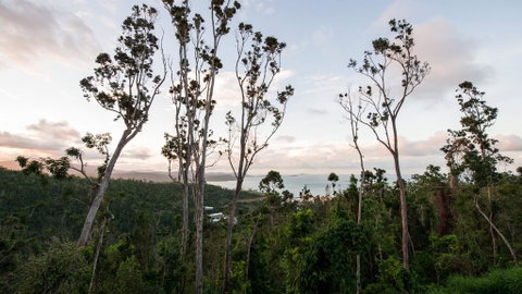Onestep Airlie Retreat - Accommodation Broome 0