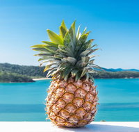 Pineapple House Whitsundays - Accommodation Broome
