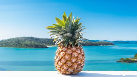 Pineapple House Whitsundays - Accommodation Broome 0