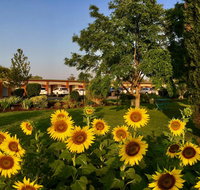 Quirindi Sunflower Motor Inn - Accommodation Broome
