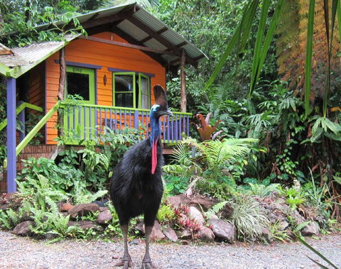 Rainforest Hideaway - Accommodation Broome 0