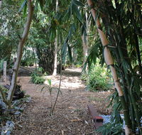 Rainforest Water Front River Shack Secluded. - Accommodation Broome