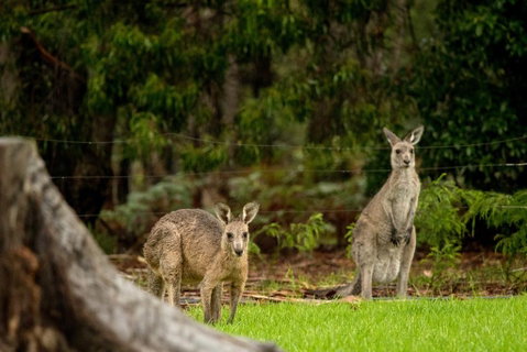 Secura Lifestyle Countryside Kalaru - Accommodation Broome 0