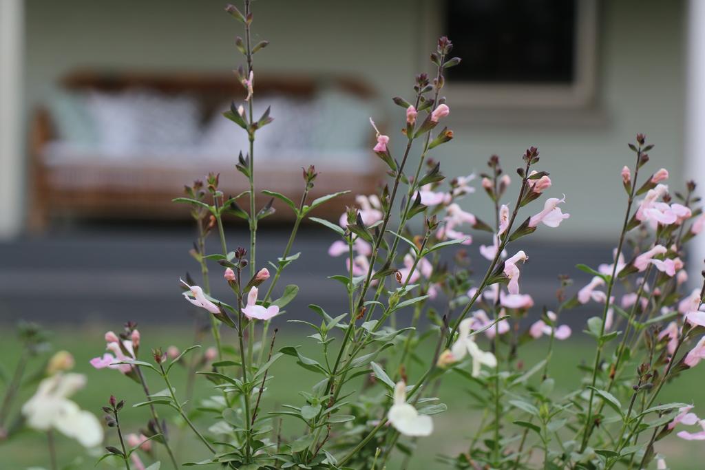 Allynbrook ACT Accommodation Broome