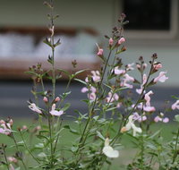 Serendipity on Allyn - Accommodation Broome