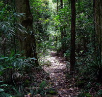 Springbrook Lyrebird Retreat - Accommodation Broome
