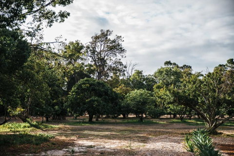 Standing Stone House - Accommodation Broome 3