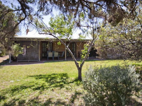 Tea Tree - Accommodation Broome 1
