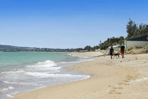 THALASSA HOUSE COASTAL RETREAT DROMANA - Accommodation Broome 2